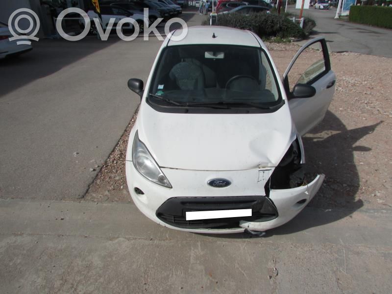 Ka Ka  51856923