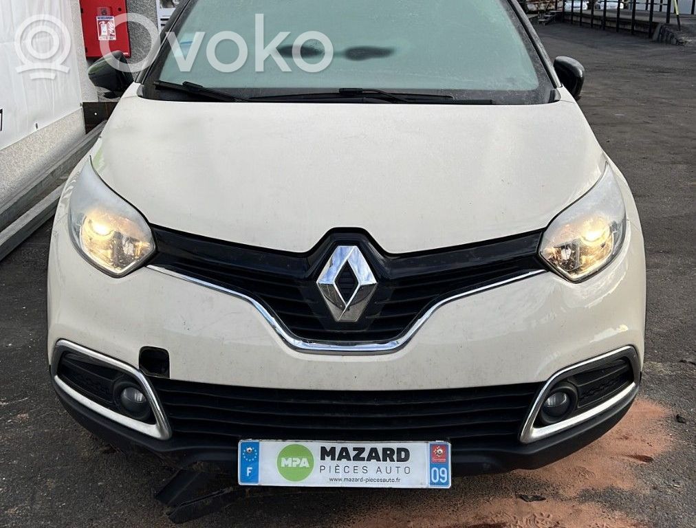 Captur Captur  233001073R