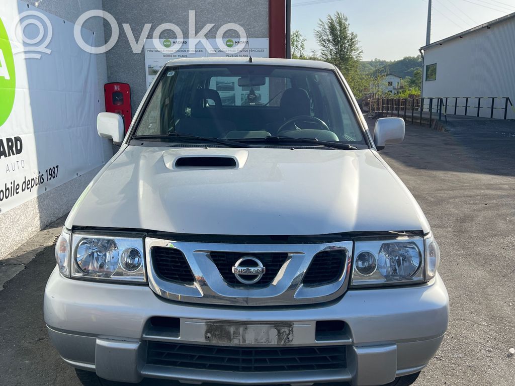 Terrano Terrano  391007F00A