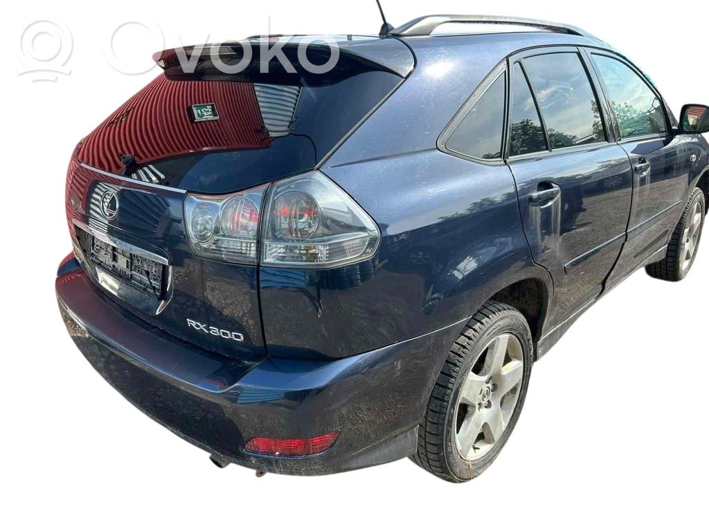 RX 300 RX
