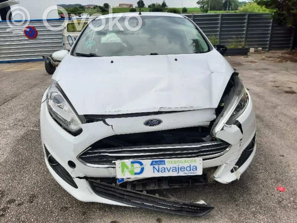 Fiesta Fiesta  C1B112A650MD