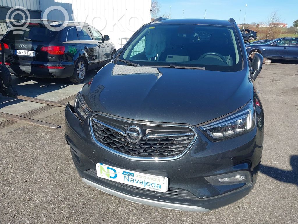 Mokka X Mokka  42625645