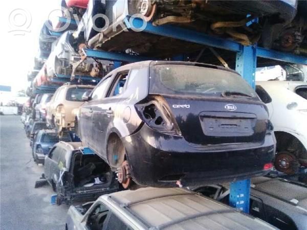 Ceed Ceed, Ceed SW, Pro Ceed  561101H160EQ