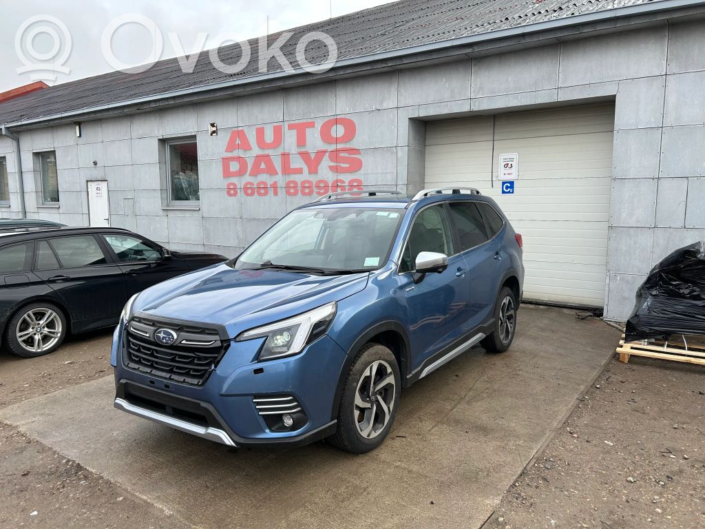 Forester SK Forester