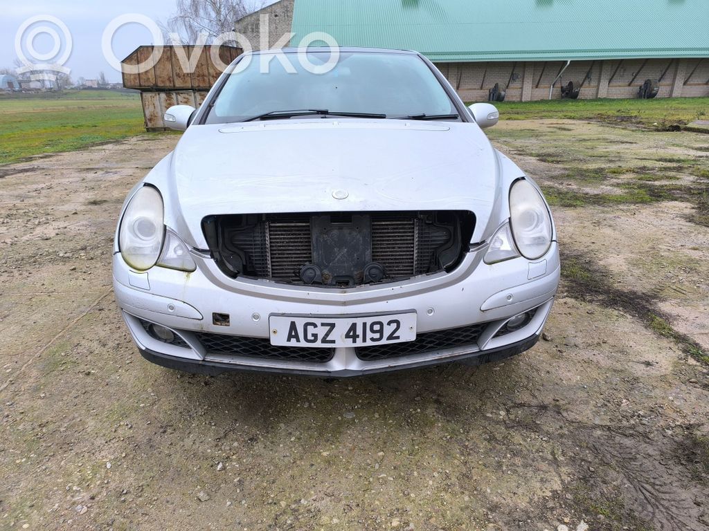 R W251 R-class, AMG (W251)  A2518201842