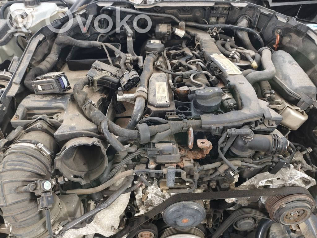 C W205 C-class, AMG (W202, W203, W204, W205, W206)  A2058304300