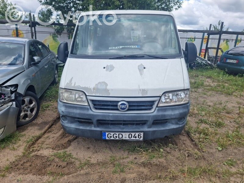 Ducato Ducato