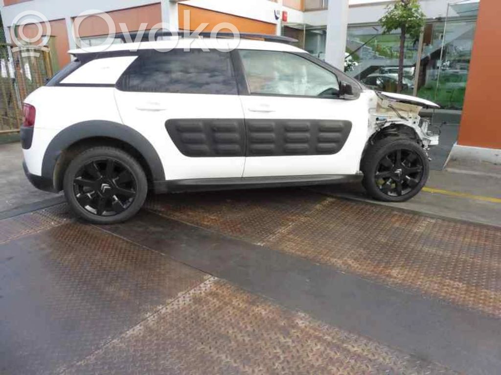 C4 Cactus C4 Picasso, Grand Picasso, Aircross, Cactus  98046105ZD