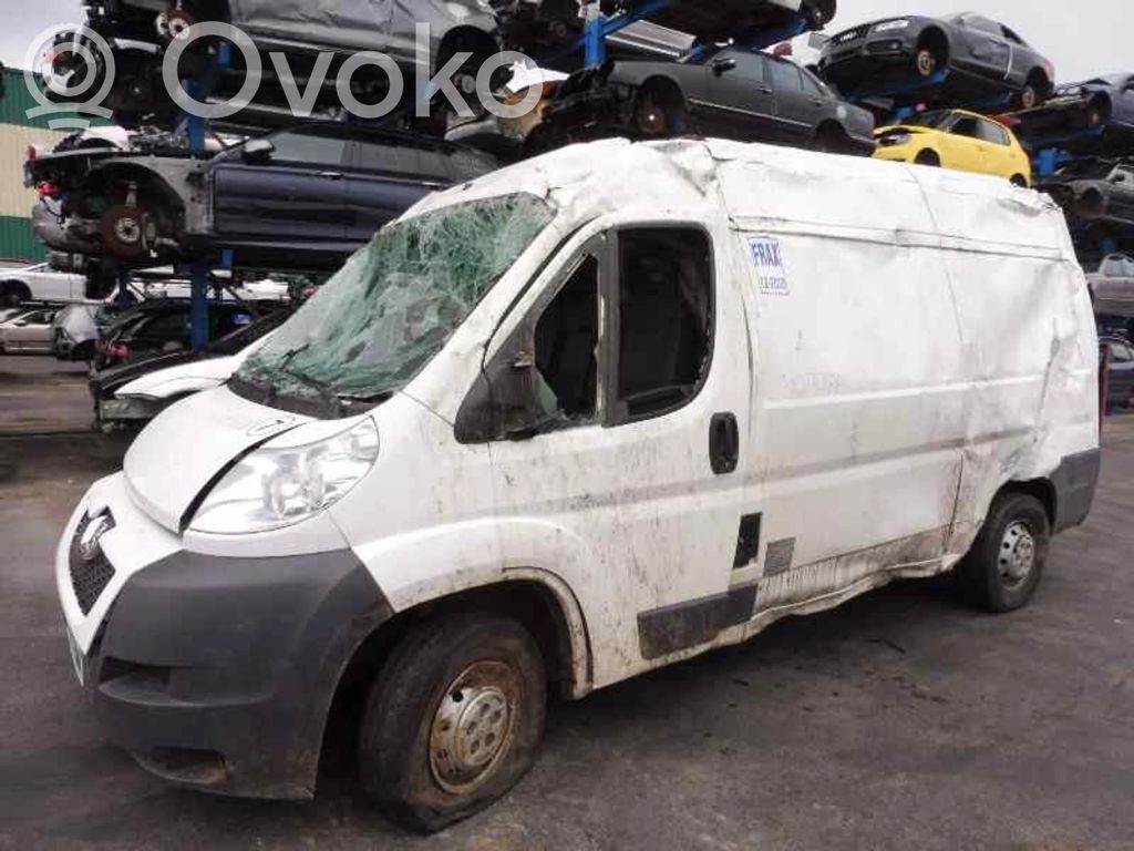 Boxer Boxer  CC1T10300BB