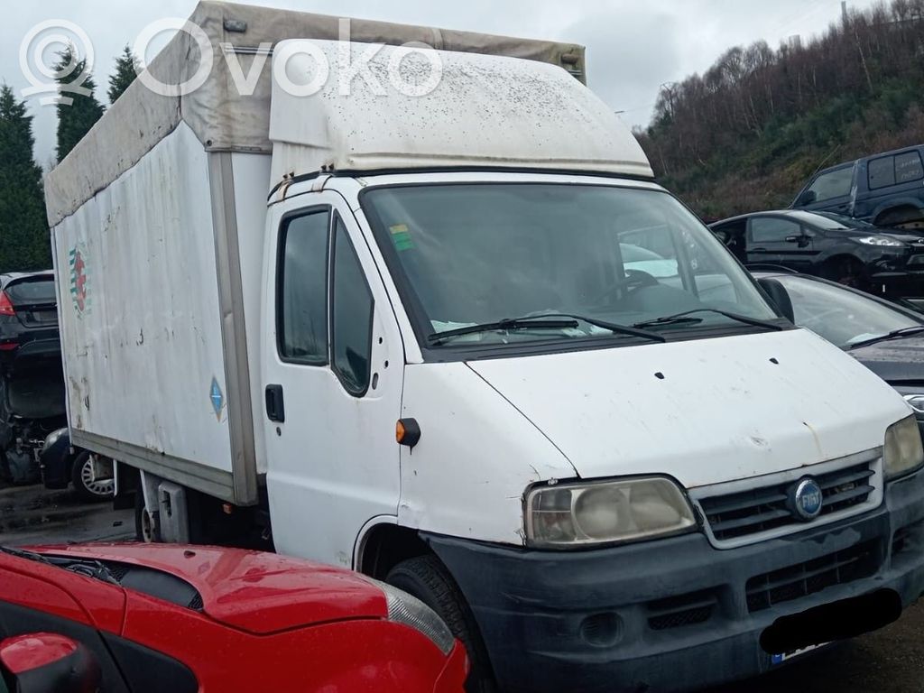 Ducato Ducato  504033459