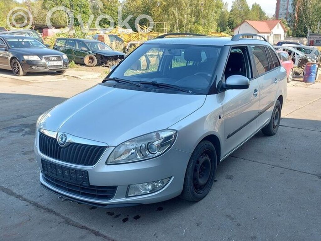 Fabia Mk2 (5J) Fabia  031810