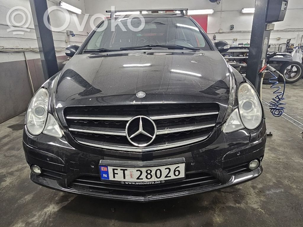 R W251 R-class, AMG (W251)  10009472