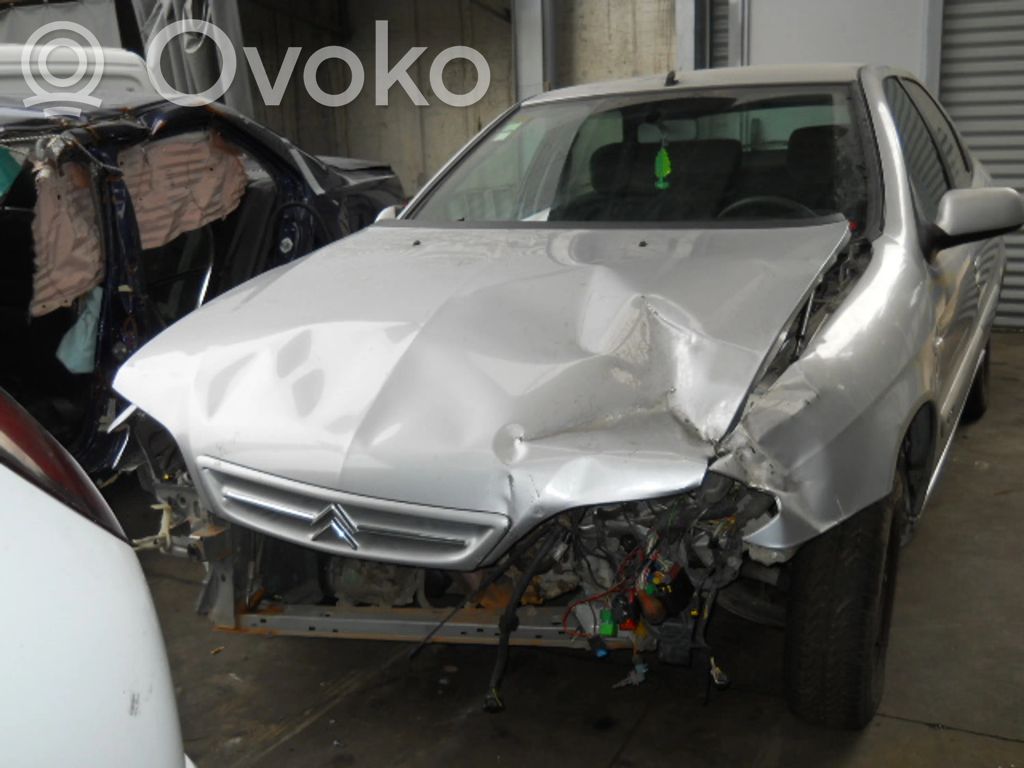 Xsara Xsara, Xsara Picasso