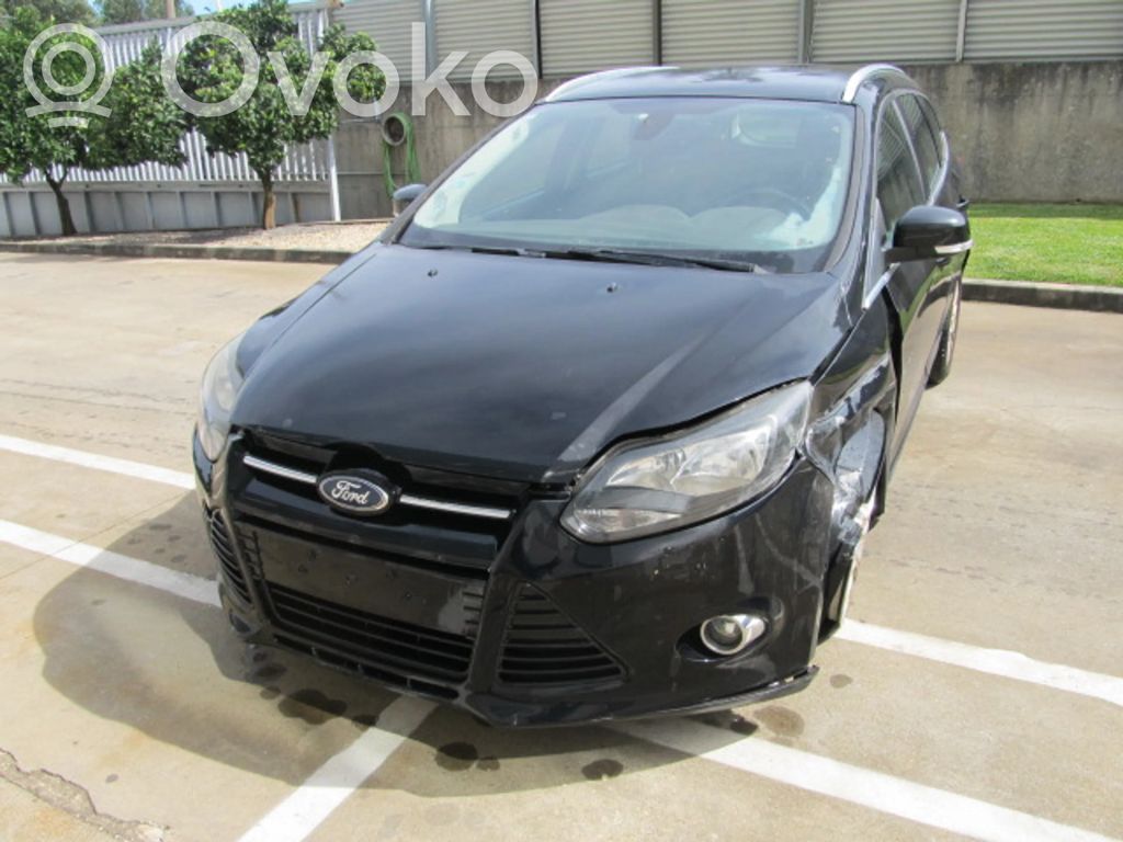 Focus Focus  1931372