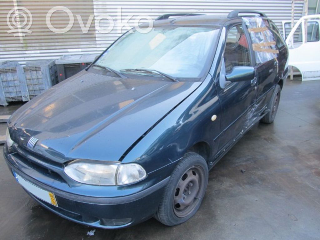 Palio Palio  258003579