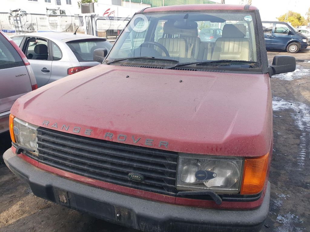 Polo Polo  AMR6356