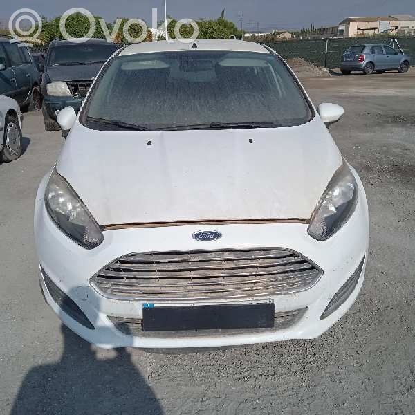 Fiesta Fiesta  C1BB3600DA