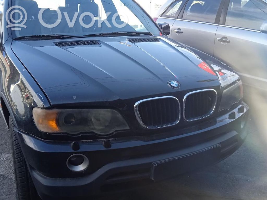 X5 E53 X5  32066906