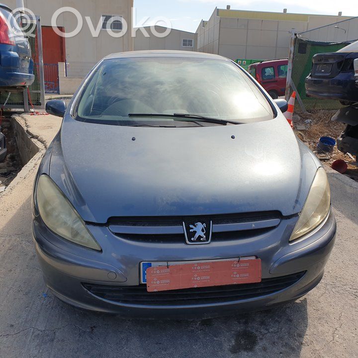 307 CC 307  0258006029