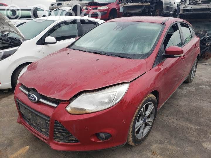 Focus Focus  A0504037