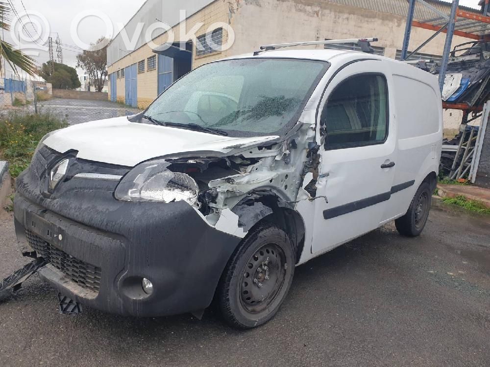 Kangoo II Kangoo  295109788R
