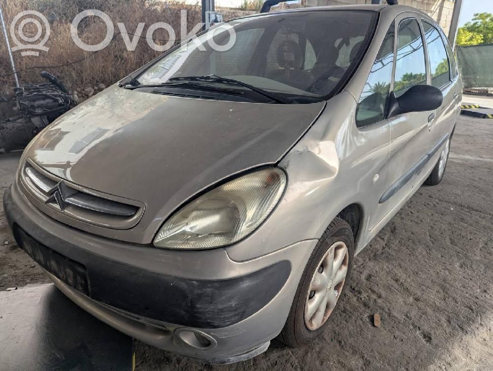 Xsara Xsara, Xsara Picasso  1037016