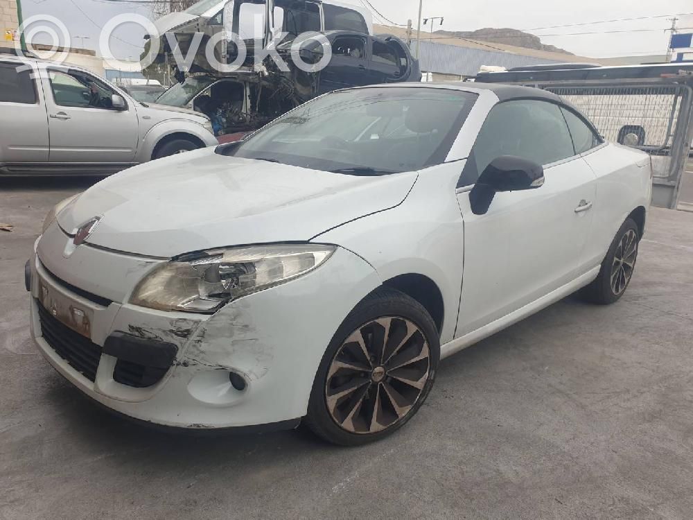 Megane III Megane  243800011R