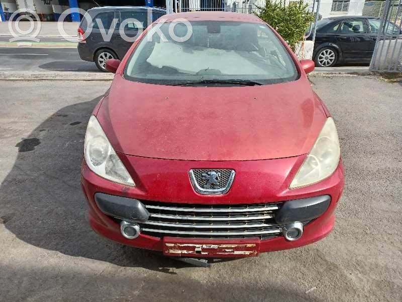 307 307  9656525880