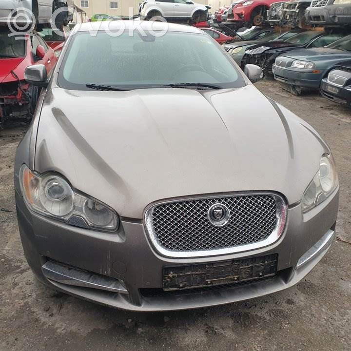 XF X250 XF  8X232C496AD