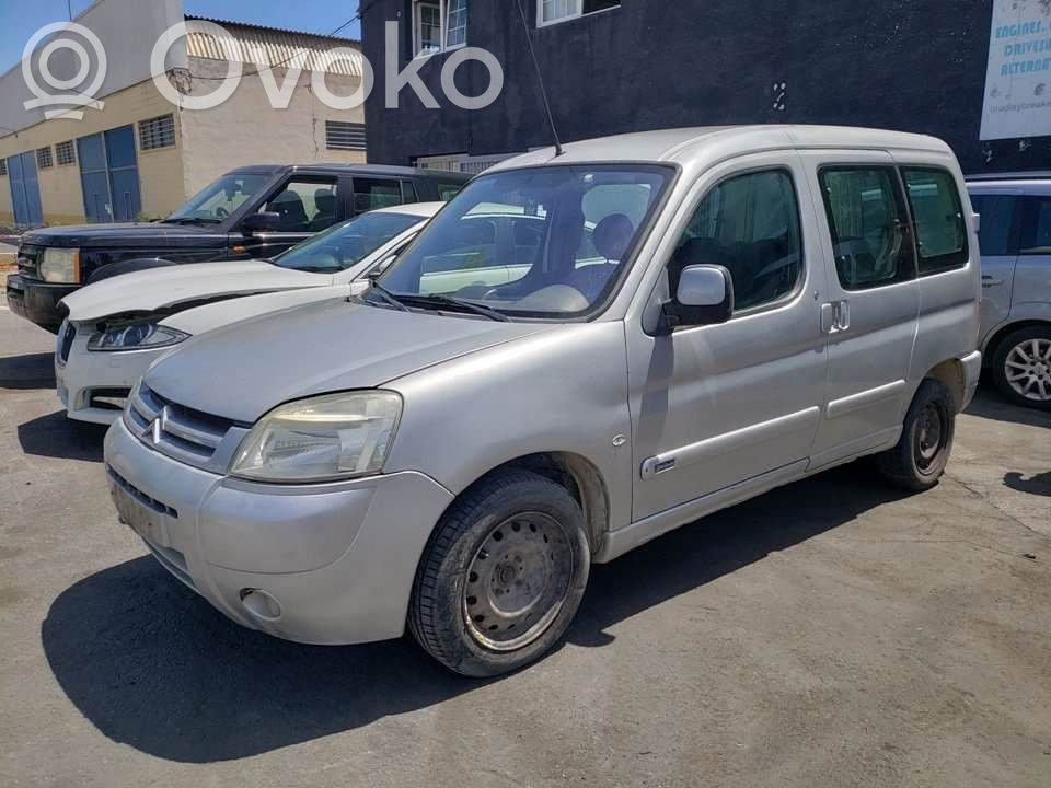 Berlingo Berlingo  10105021