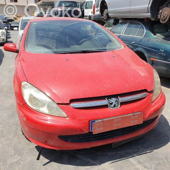 307 CC 307  0258006029
