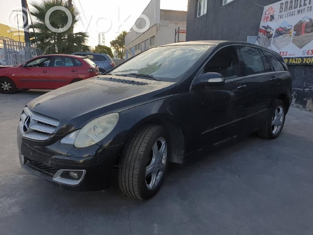 R W251 R-class, AMG (W251)