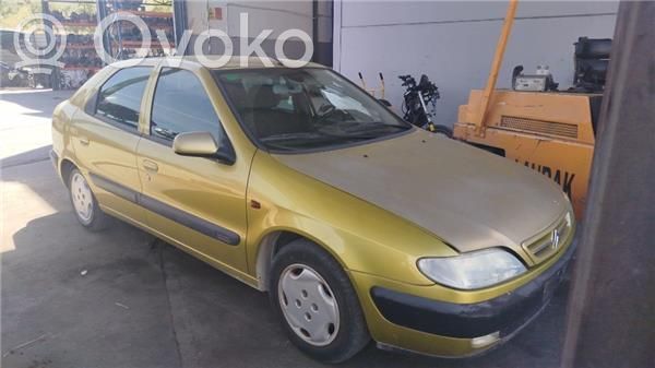 Xsara Xsara, Xsara Picasso