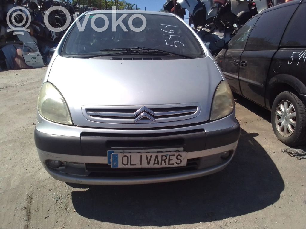 Xsara Xsara, Xsara Picasso