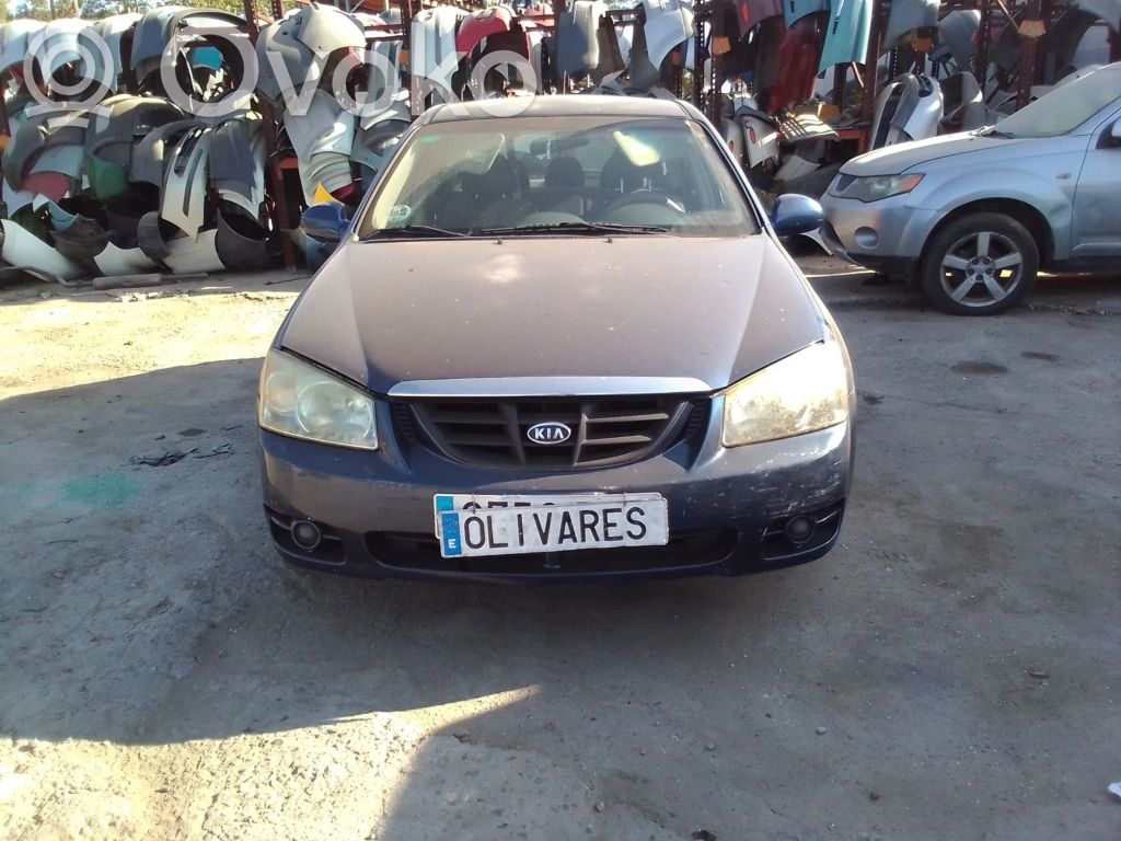 Cerato Cerato