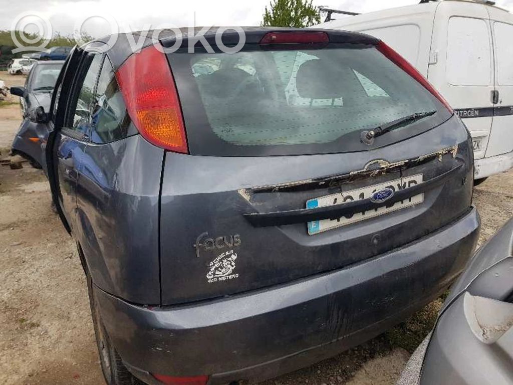 Focus Focus  1126245