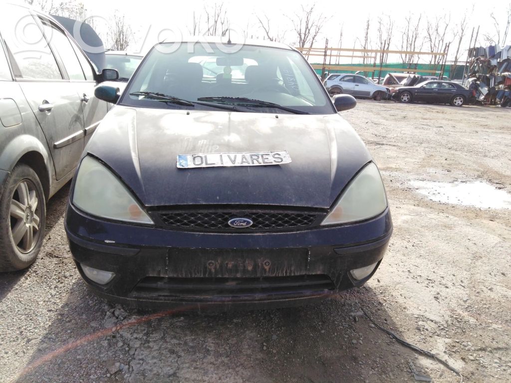 Focus Focus  1350732