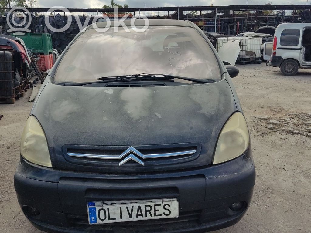 Xsara Xsara, Xsara Picasso  1663649780