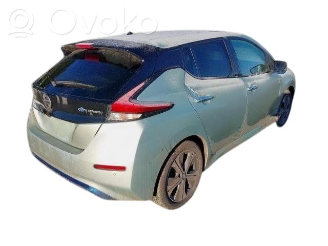 Leaf II (ZE1) Leaf