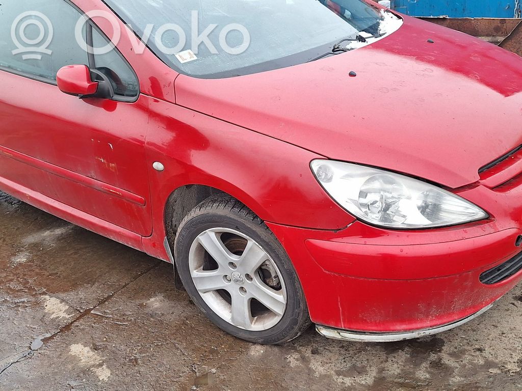 307 CC 307  105680101L