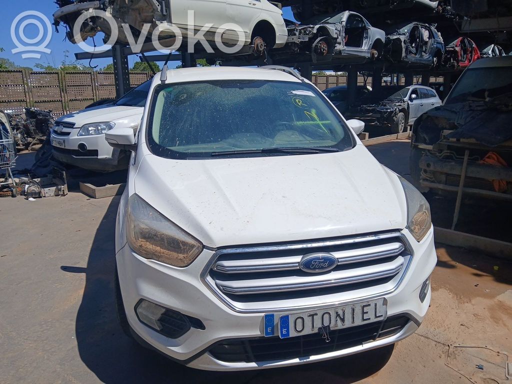 Kuga II Kuga  2344151