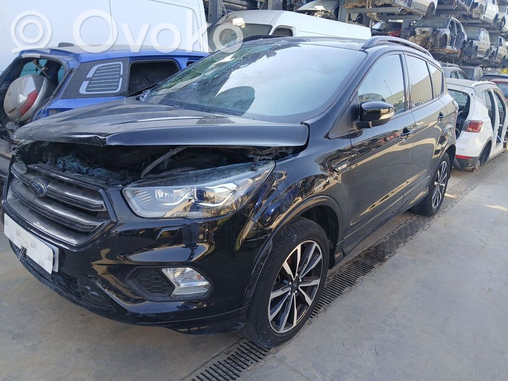 Kuga II Kuga