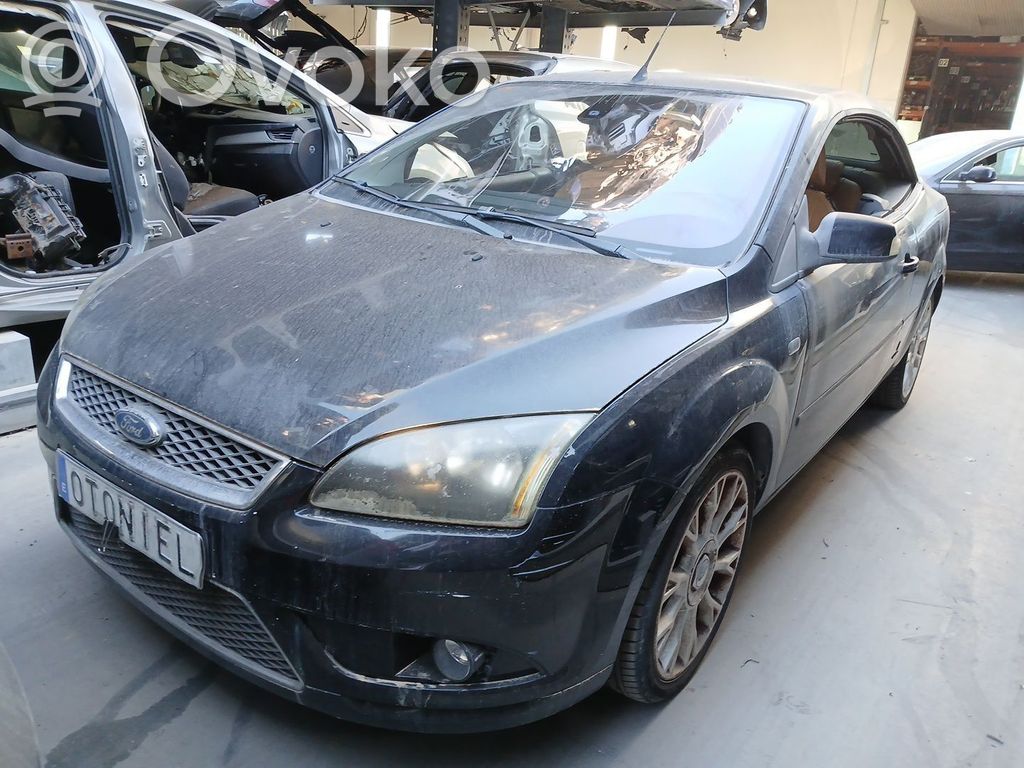 Focus Focus  1376484