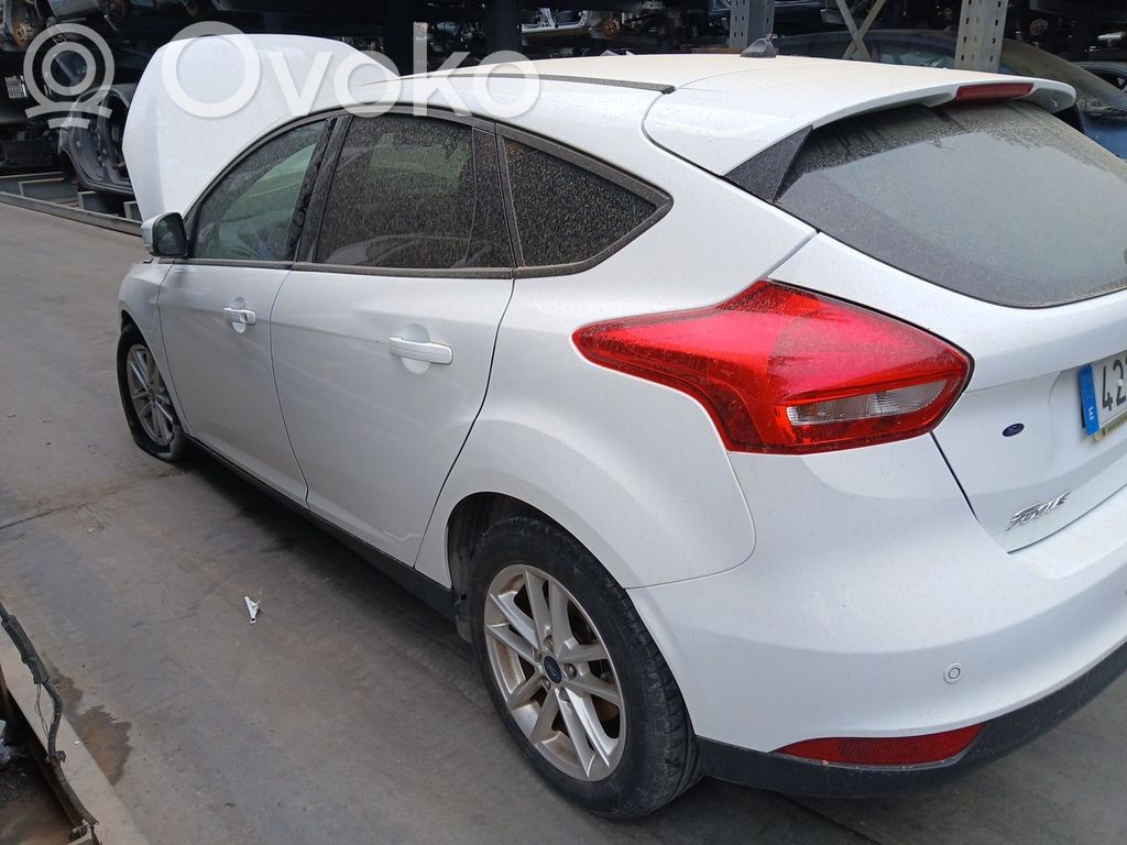 Focus Focus  2171304