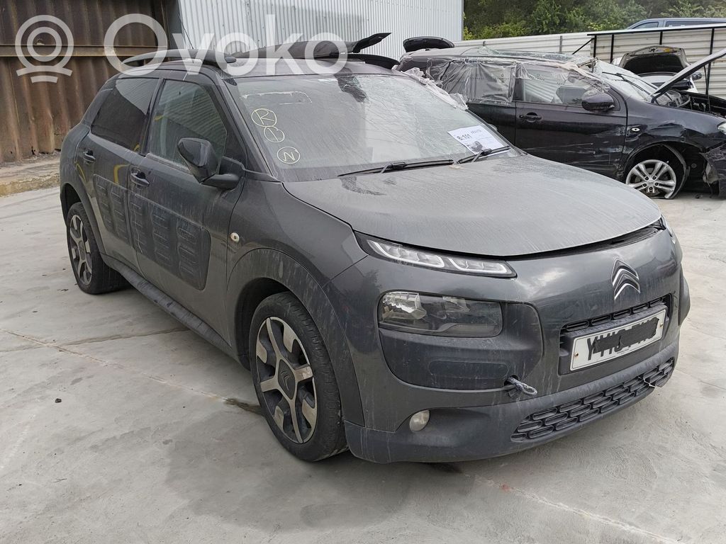 C4 Cactus C4 Picasso, Grand Picasso, Aircross, Cactus  E20205028