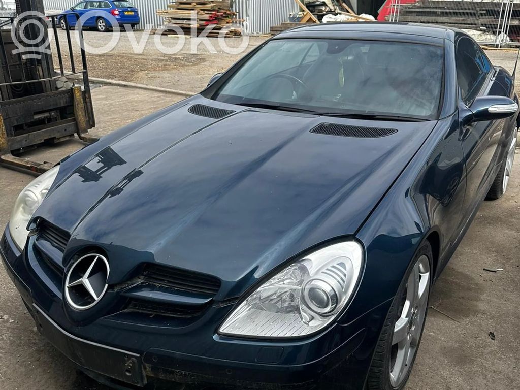 SLK R171 SLK-class, AMG (W170, W171, W172)  A1718201342