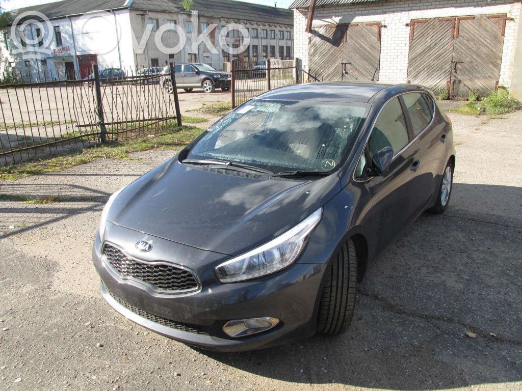 Ceed Ceed, Ceed SW, Pro Ceed  956902T250