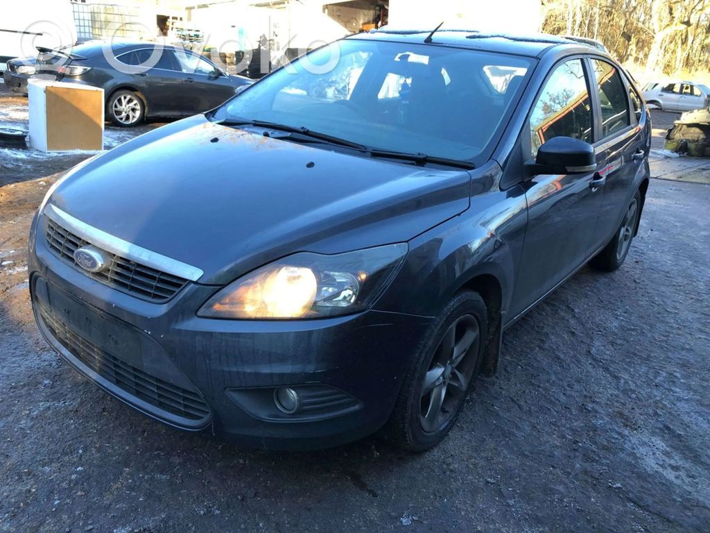 Focus Focus  1420032