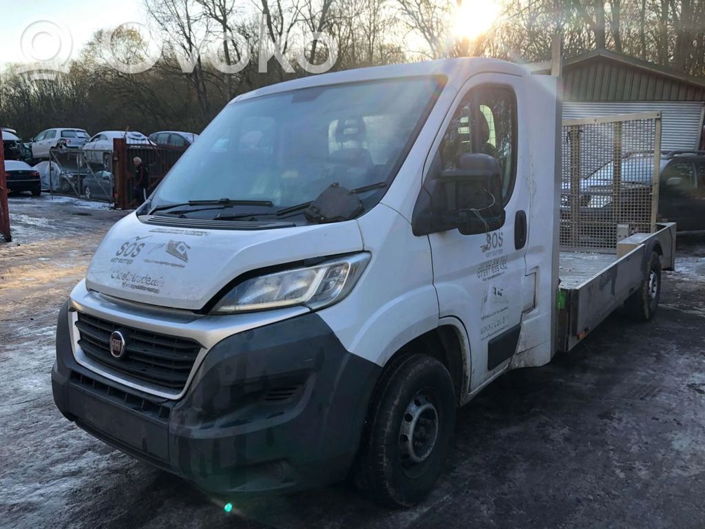 Ducato Ducato  NV24738