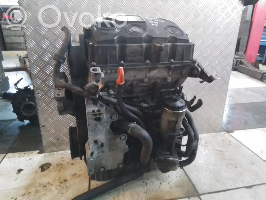 PASSAT B6 Passat  03G906262